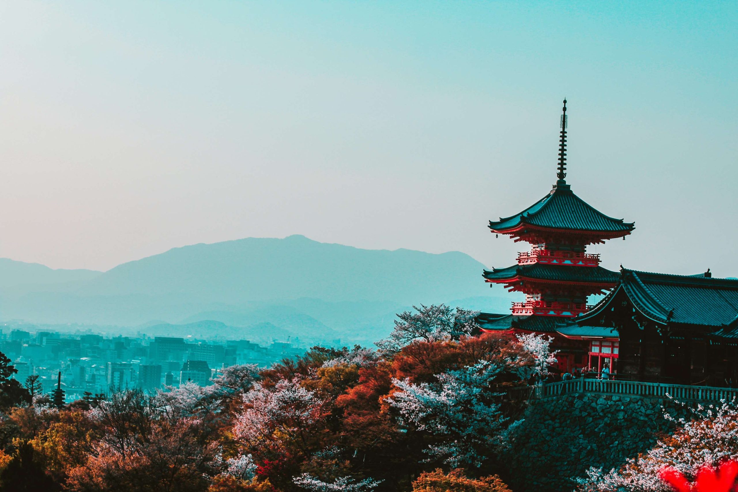 The Best Time to Visit Japan & Things to Do